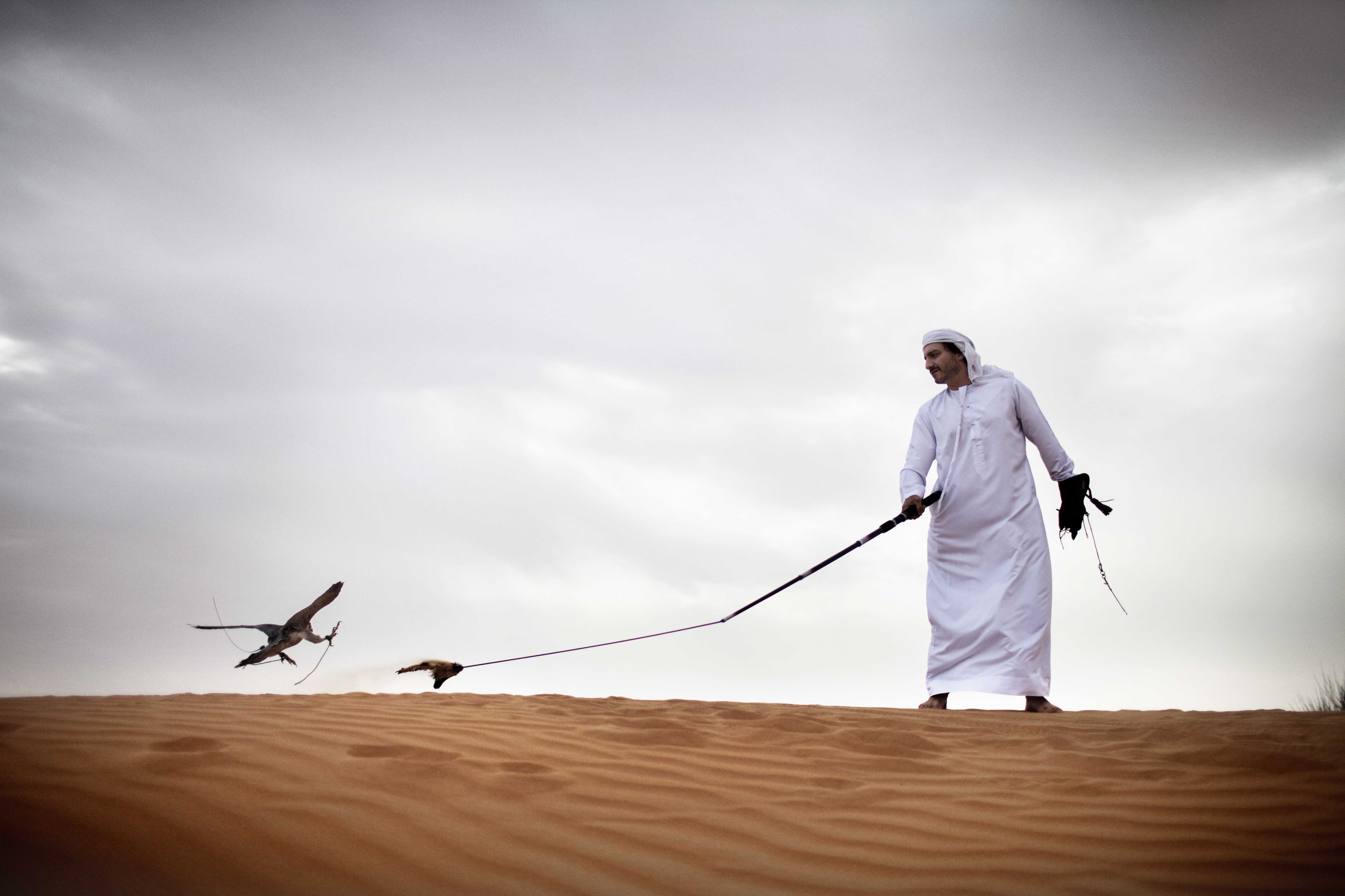 culture-desert-and-falcon